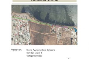 Proyecto Paseo Peatonal Playa Honda - Cartagena - Traza Ingeniería y Desarrollo - 2